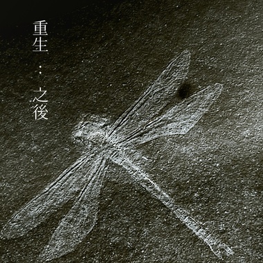 重生之后 Rebirth