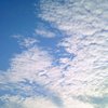 明天你就要离去 Tomorrow You're Leaving