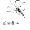 我的样子