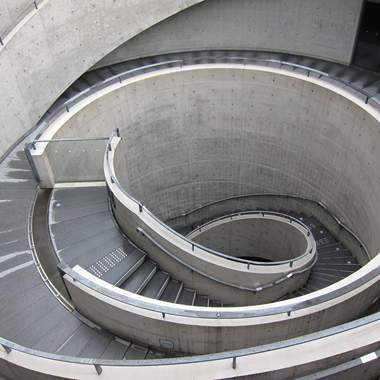 椿