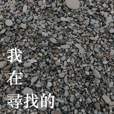 我在寻找的