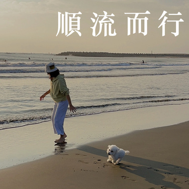 顺流而行 2023