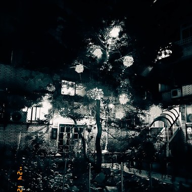 250111 坠滴孤寂 Dripping Loneliness