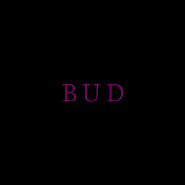 BUD
