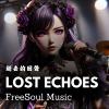 【FreeSoul Music】逝去的回声 | Lost Echoes