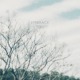 让我去到你那里吧（Embrace You）