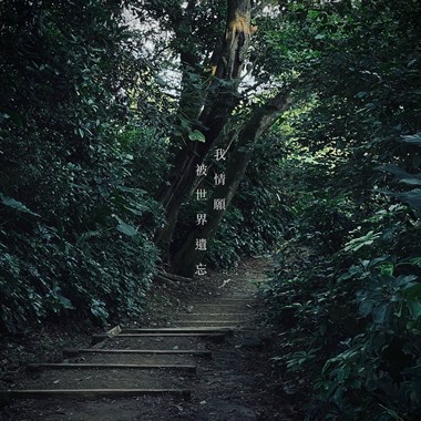 我情愿被世界遗忘