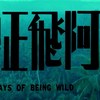 Los Indios Tabajaras - Always In My Heart (Days of Being Wild OST)