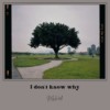 I don't know why (demo)