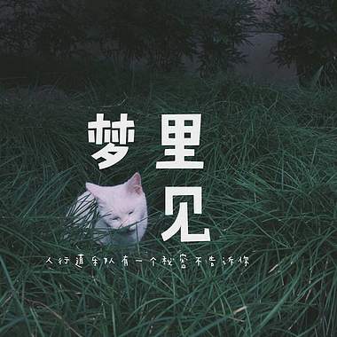 人行道乐队 - 梦里见