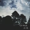 沼泽