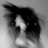 TOEX