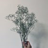 转身以后demo