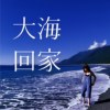 大海回家