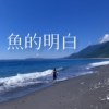 鱼的明白