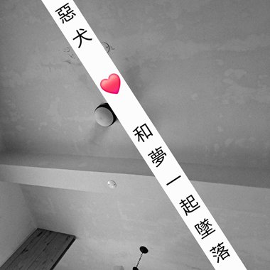 内有二犬 - 和梦一起坠落