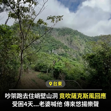 内有二犬 《悬崖上的小夜曲》