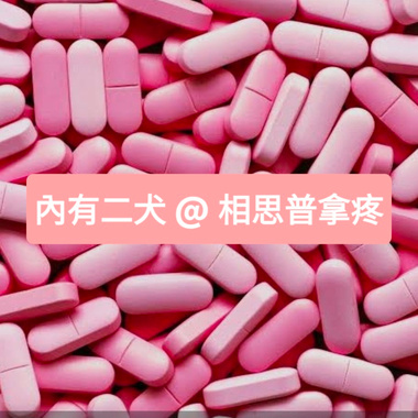 内有二犬 〈相思普拿疼 〉