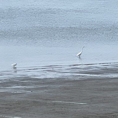 Melancholic Serenity