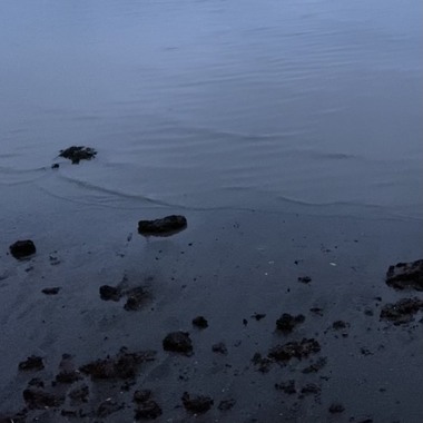 Tide