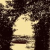 Ribbon