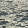 Sparkles on the river