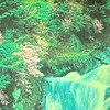 野兽