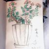 过年吼之《迎春花》