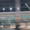 对的 FREESTYLE