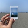 花信2024 11/21 (½demo)