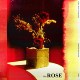 HowZ - 街角的蔷薇