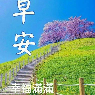 春天的反应