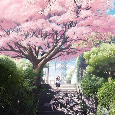 《樱树下》