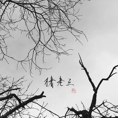 猪老三