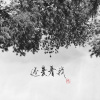 还爱着我