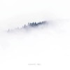 Fog 雾