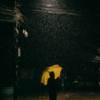 雨人