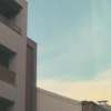 鱼 cover