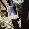 宝丽来幽灵 👻Polaroid Ghosts