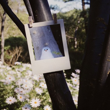 宝丽来幽灵 👻Polaroid Ghosts