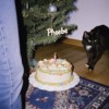 圣诞快乐菲比 Silent Night at Home, with Phoebe