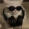 HZ - 怪就怪天气remix