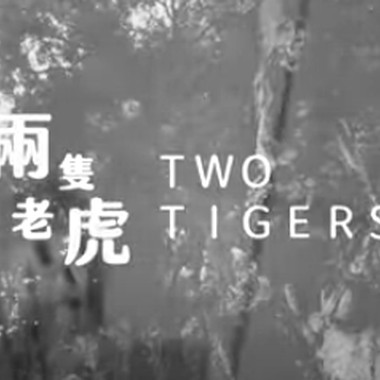 两只老虎TwoTigers