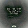 别忘记 Don't Forget - Instrumental