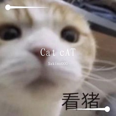 Cat cAT