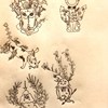 20岁的沈著与歇斯底里