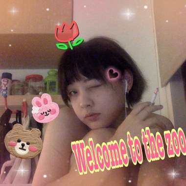 welcome to the zoo-刺猬