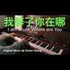 我醉了你在哪  I am Drunk Where are You