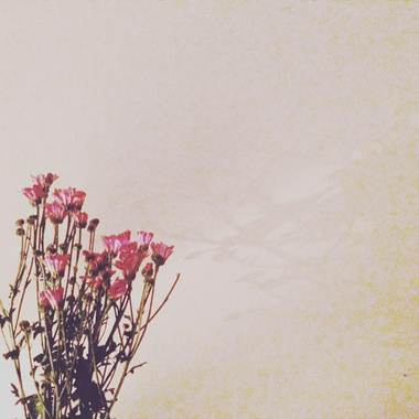自私的花朵 (Demo)