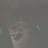 Demo19